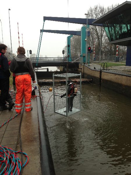 Duiker wordt te water gelaten