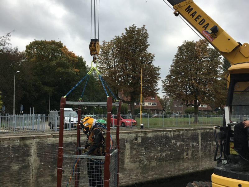 Duiker in manbak Sluis Weurt